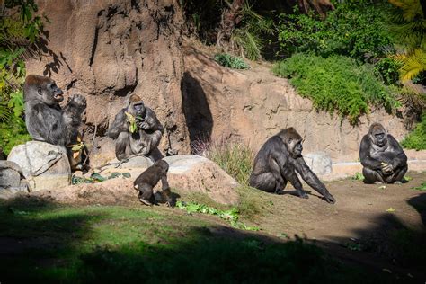 Exhibits - Los Angeles Zoo and Botanical Gardens