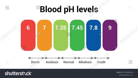 Human Blood Ph Level Icon Stock Vector (Royalty Free) 2100081034 | Shutterstock