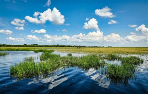 Palatka Florida - Discover The Top Activities and Attractions