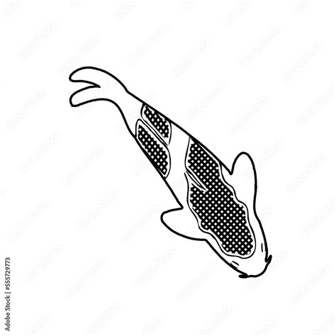 black and white drawing sketch of a koi fish with transparent background Stock Illustration ...