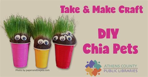 Take-and-Make Craft: DIY Chia Pets - WOUB Public Media