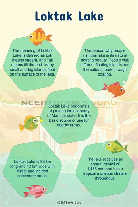 Loktak Lake History, Map, System, Pollution and Importance - NCERT Books