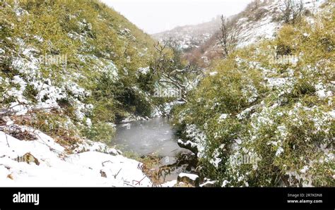 The Dzukou valley (without its famous flowers Stock Photo - Alamy