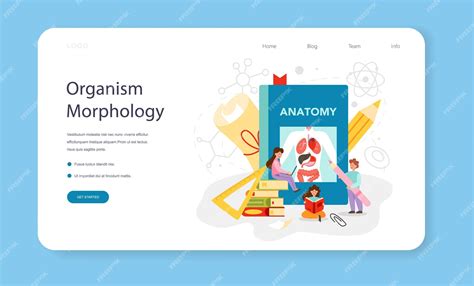 Premium Vector | Anatomy school subject web banner or landing page ...