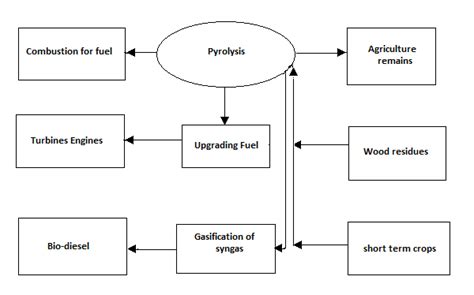 Bio Energy - Biomass Production