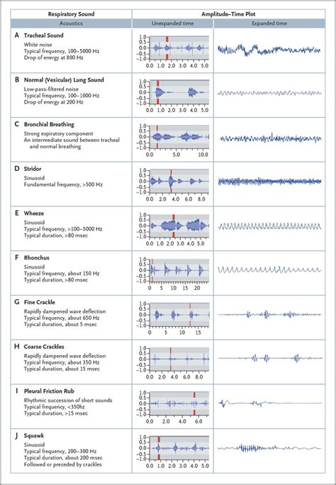 Fundamentals of Lung Auscultation | NEJM