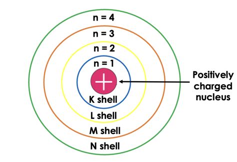 Diagram and label electron energy levels in Bohr's model. | Quizlet