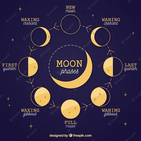 Premium Vector | Dark blue background of moon phases and stars