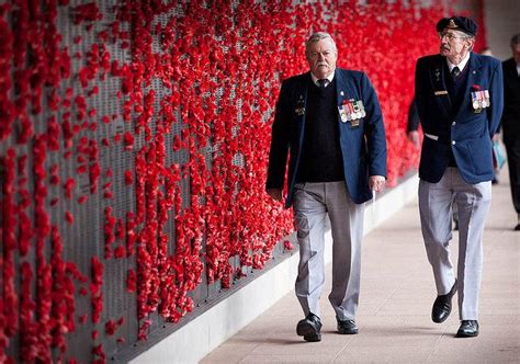 A sea of red poppies, thousands commemorate Remembrance Day