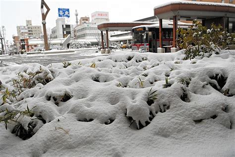 Heavy snow falls across wide areas facing Sea of Japan | The Asahi ...