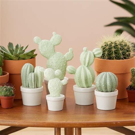 Cactus Decor in 2021 | Cactus decor, Cactus, Cactus ceramic