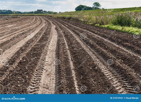 Potato Field after Harvesting Stock Image - Image of background, heavy ...