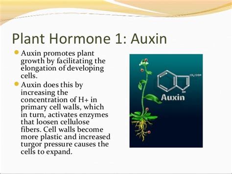 Plant hormones and plant reproduction