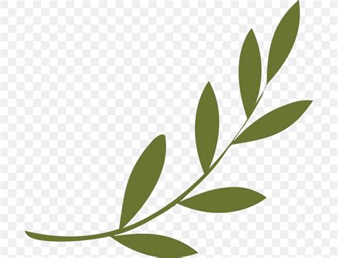 Olive Branch Peace Symbols Olive Wreath, PNG, 700x627px, Olive Branch ...