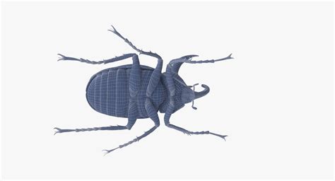 rhinoceros beetle rigged - c4d