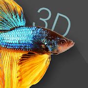 Betta Fish 3D - 3D Live Wallpaper - Apps on Google Play