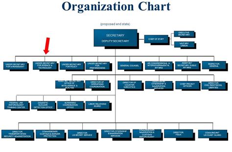 Dhs Office Of Procurement Operations Organization Chart - Chart Walls