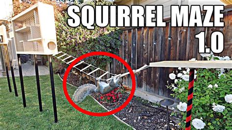 Backyard squirrel maze 1.0- ninja warrior course – Mark Rober