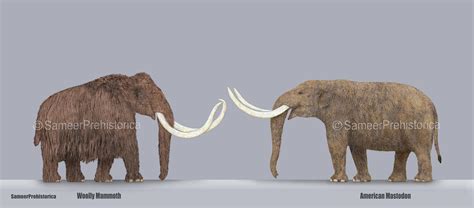 Mammoth vs Mastodon by SameerPrehistorica on DeviantArt