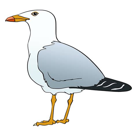 How to Draw a Seagull - Really Easy Drawing Tutorial