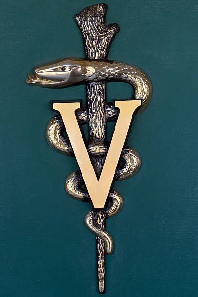 Veterinary Caduceus Symbol Stock Photos, Pictures & Royalty-Free Images ...