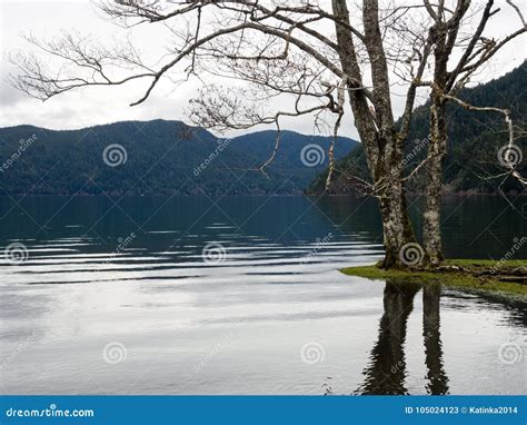 Lake Crescent in Olympic National Park in Winter Stock Image - Image of ...