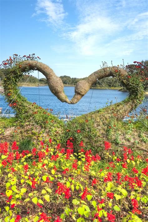 Ecoland Theme Park, Jeju Island Stock Image - Image of rivers ...