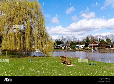 Runnymede Pleasure Ground by the River Thames Surrey UK Stock Photo - Alamy