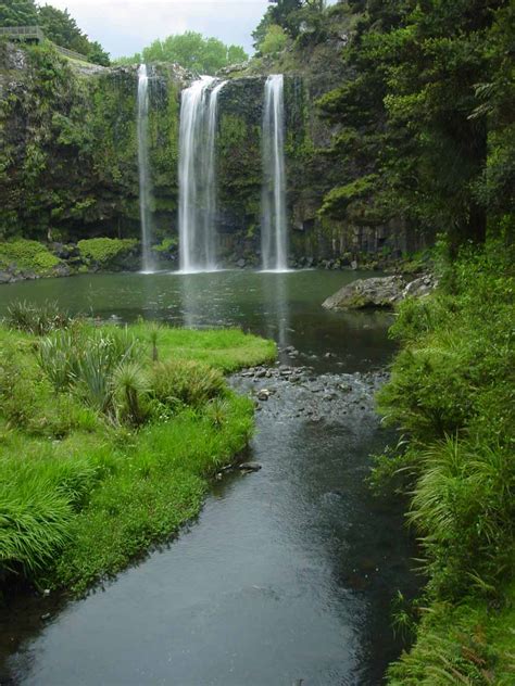 Whangarei Falls - Waterfall in a Suburban Park in Whangarei