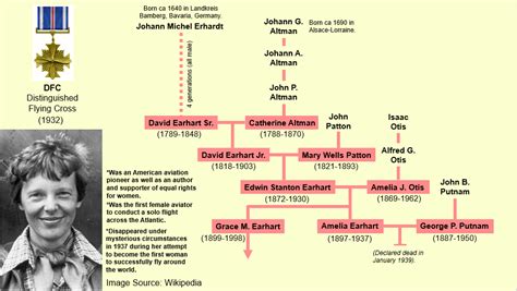 Amelia Earhart Family Tree : r/UsefulCharts