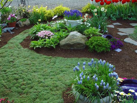 front yard landscaping with ground cover - Google Search | Lawn alternatives, Ground cover ...