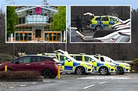 Armed cops swoop on Dobbies garden centre in Stirling after man 'spotted with gun' | The ...