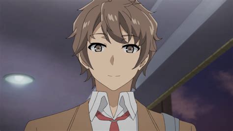 Category:Characters | Seishun Buta Yarou wa Bunny Girl Senpai no Yume wo Minai Wiki | Fandom