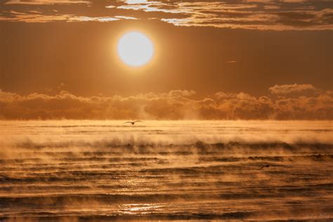 Sea smoke over the Atlantic on EarthSky | Today's Image | EarthSky