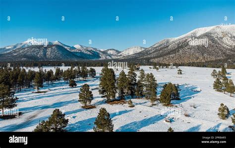 Flagstaff Arizona winter park mountain snow forest drone from air Stock ...