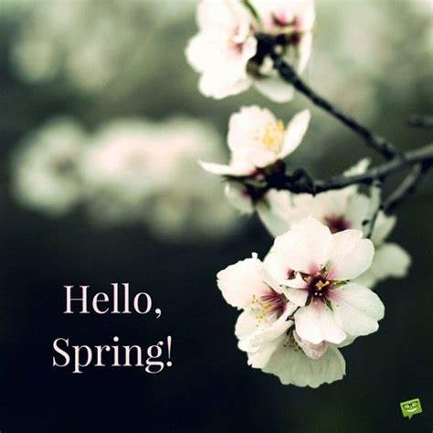 "Hello, Spring!" Quotes | Spring quotes, Hello spring, Spring images