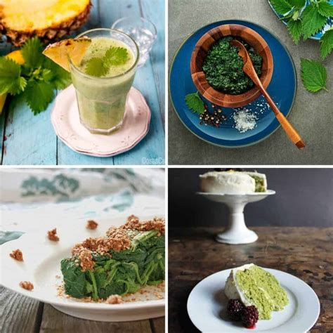 Surprising Ways to Use Stinging Nettles (With Recipes) - Oh, The Things We'll Make!