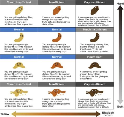 Stool Color Chart: A Guide to Healthy Digestive System