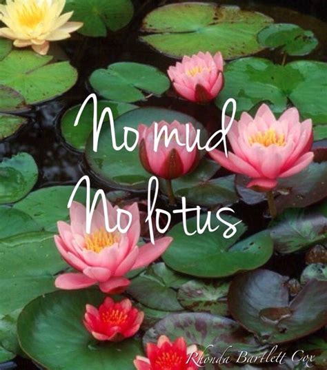 No Mud No Lotus Quote - ShortQuotes.cc