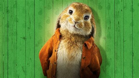 Peter Rabbit 2: The Runaway - Top Tube