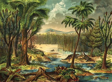 Rainforest collapse in prehistoric times changed the course of evolution