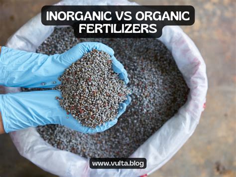 Inorganic vs Organic Fertilizers: What to choose? And Why? | Vulta Blog