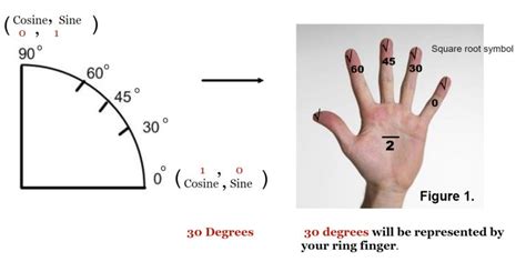 Learn the Unit Circle - MooMoo Math