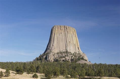 World’s Largest Petrified Tree? | Outside My Window