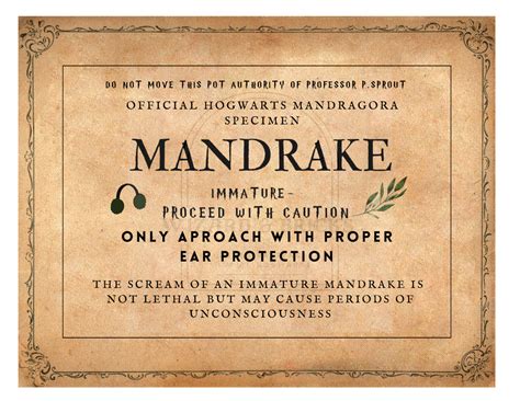 MANDRAKE Plant Labels Editable Pack of 9 Unique Labels - Etsy in 2023 ...