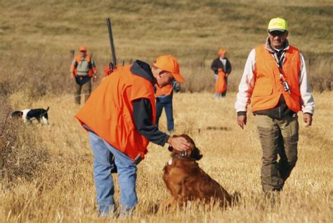 Illinois officials are set to begin accepting permit reservations for the pheasant hunting ...