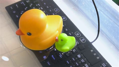 Yellow duck on the black keyboard background. Cute rubber ducks. Waterproof keyboard under the ...