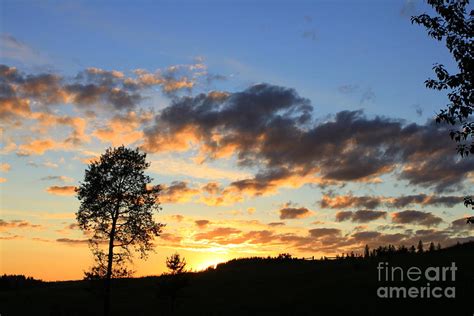 Sunset on the Old Farm Road Photograph by Dorothy Hall - Fine Art America