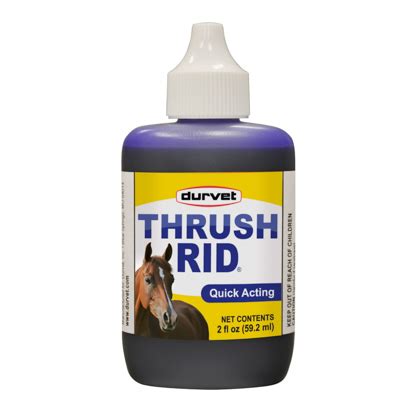 Mustad Thrush Buster for Horses - 1800PetMeds