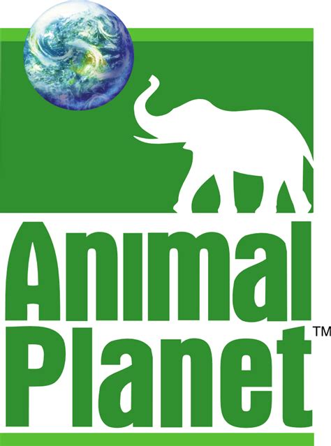 The old animal planet logo : nostalgia